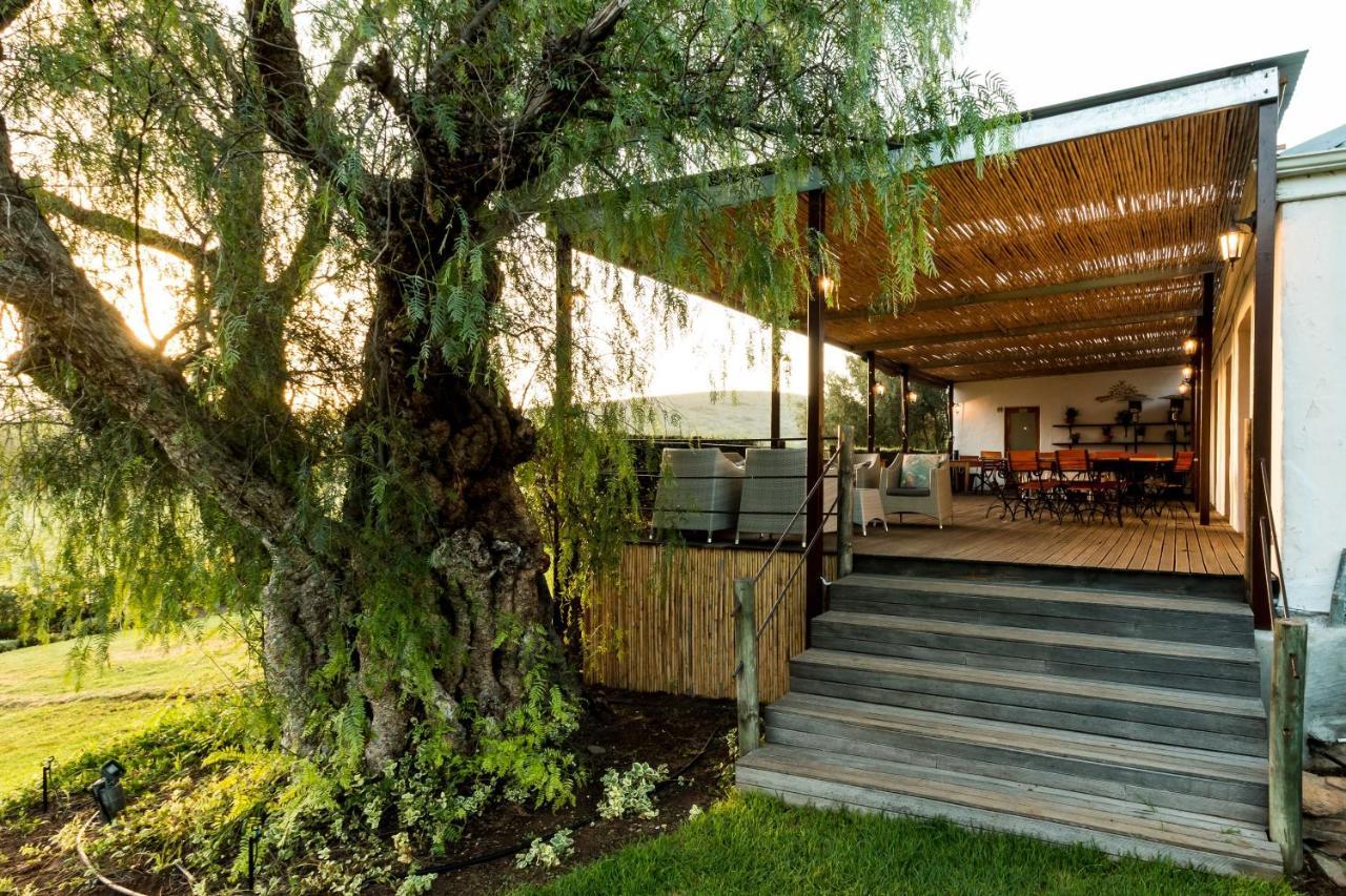 Swartberg Country Manor Guest House Matjiesrivier  Exterior photo