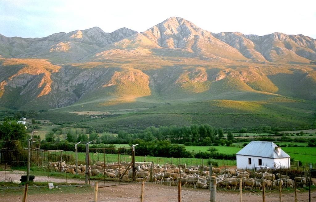 Swartberg Country Manor Guest House Matjiesrivier  Exterior photo
